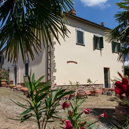 Valdambrini Alberoro